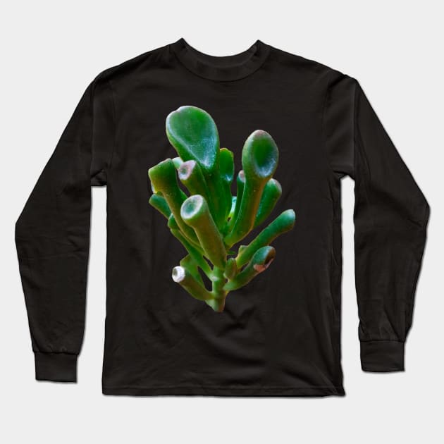 Crassula Ovata Gollum Long Sleeve T-Shirt by NerdsbyLeo